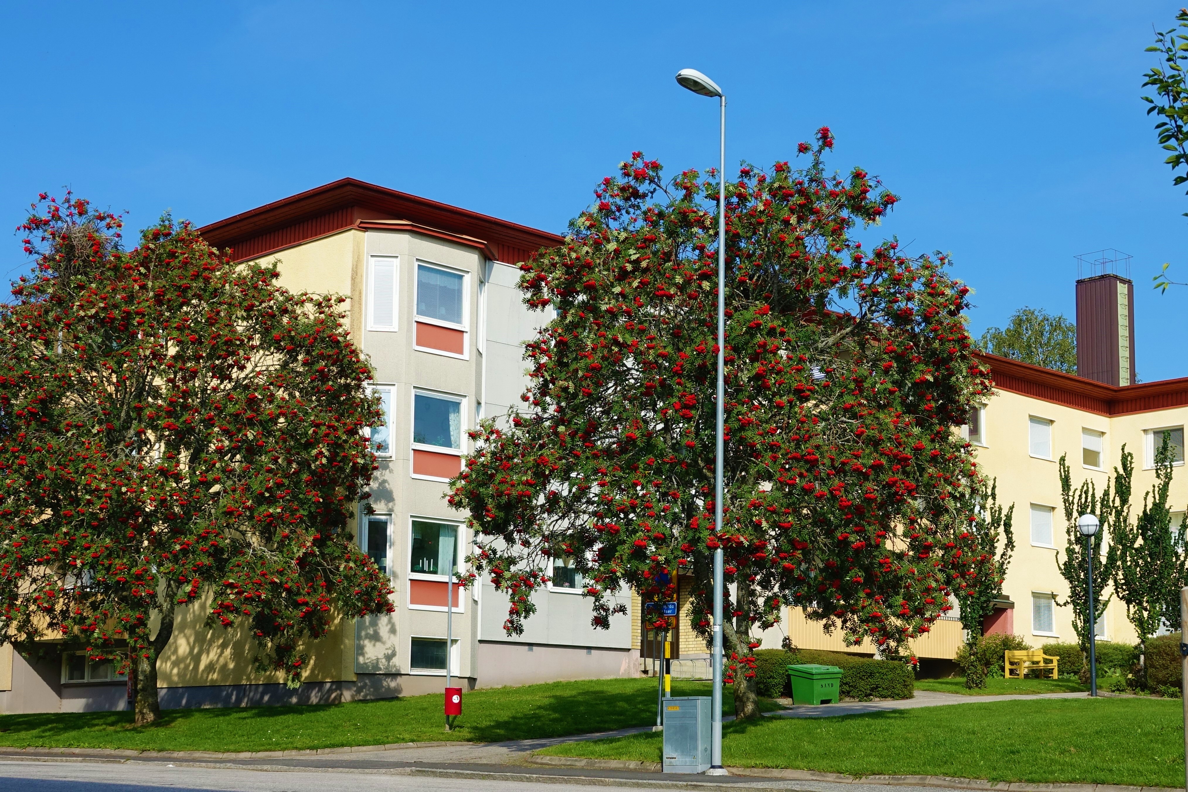 Nillas Väg 30 D, 523 39, ULRICEHAMN