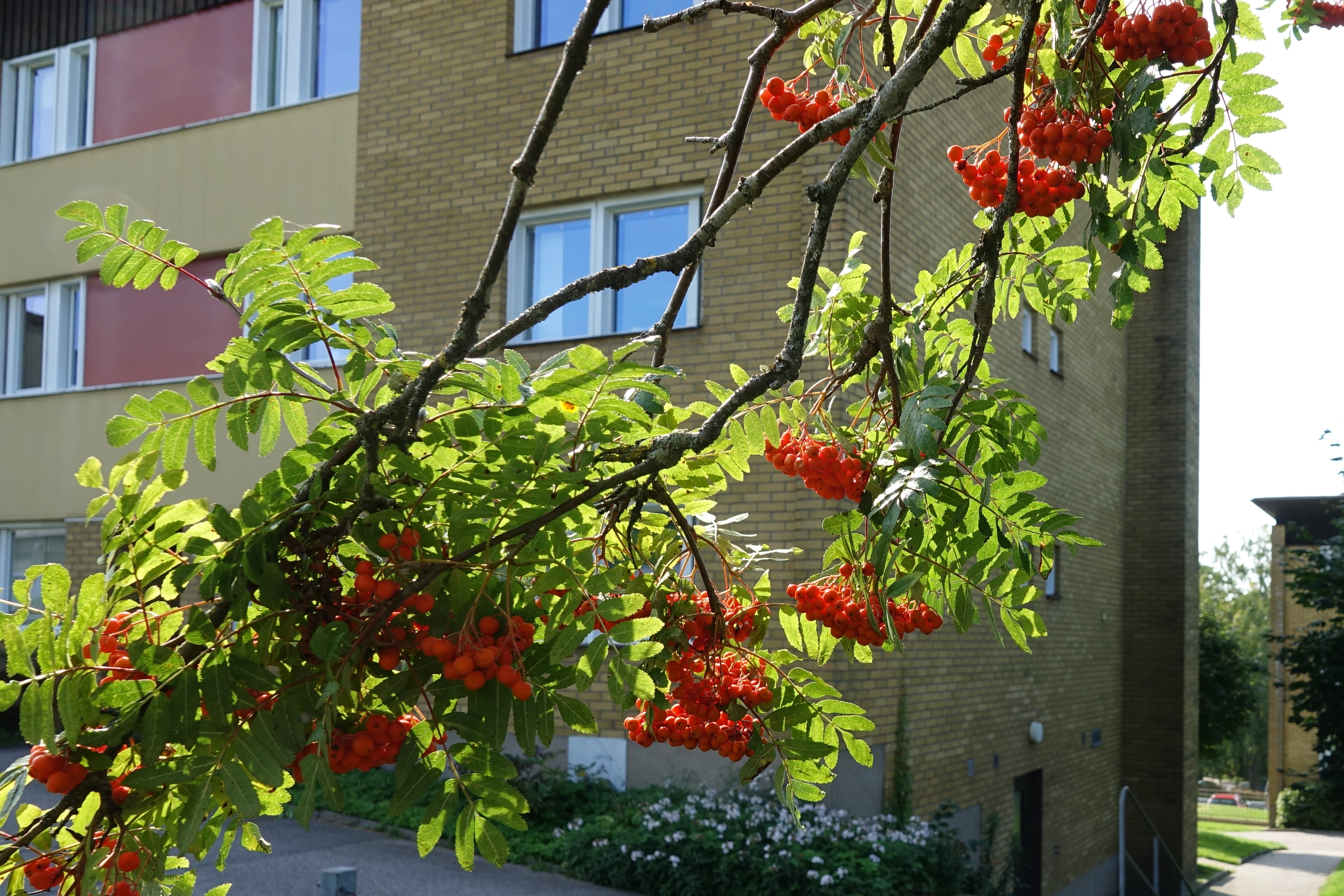 Nillas Väg 30 A, 523 39, ULRICEHAMN