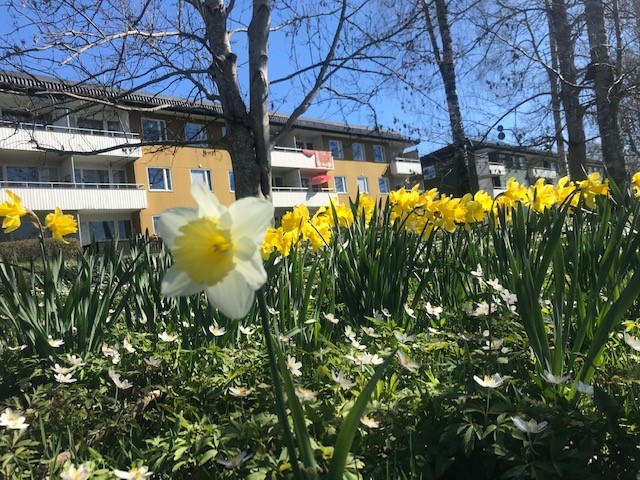 Karlslättsv 8 A, 523 35, ULRICEHAMN
