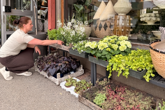 Hyresgäst blomsterbutik