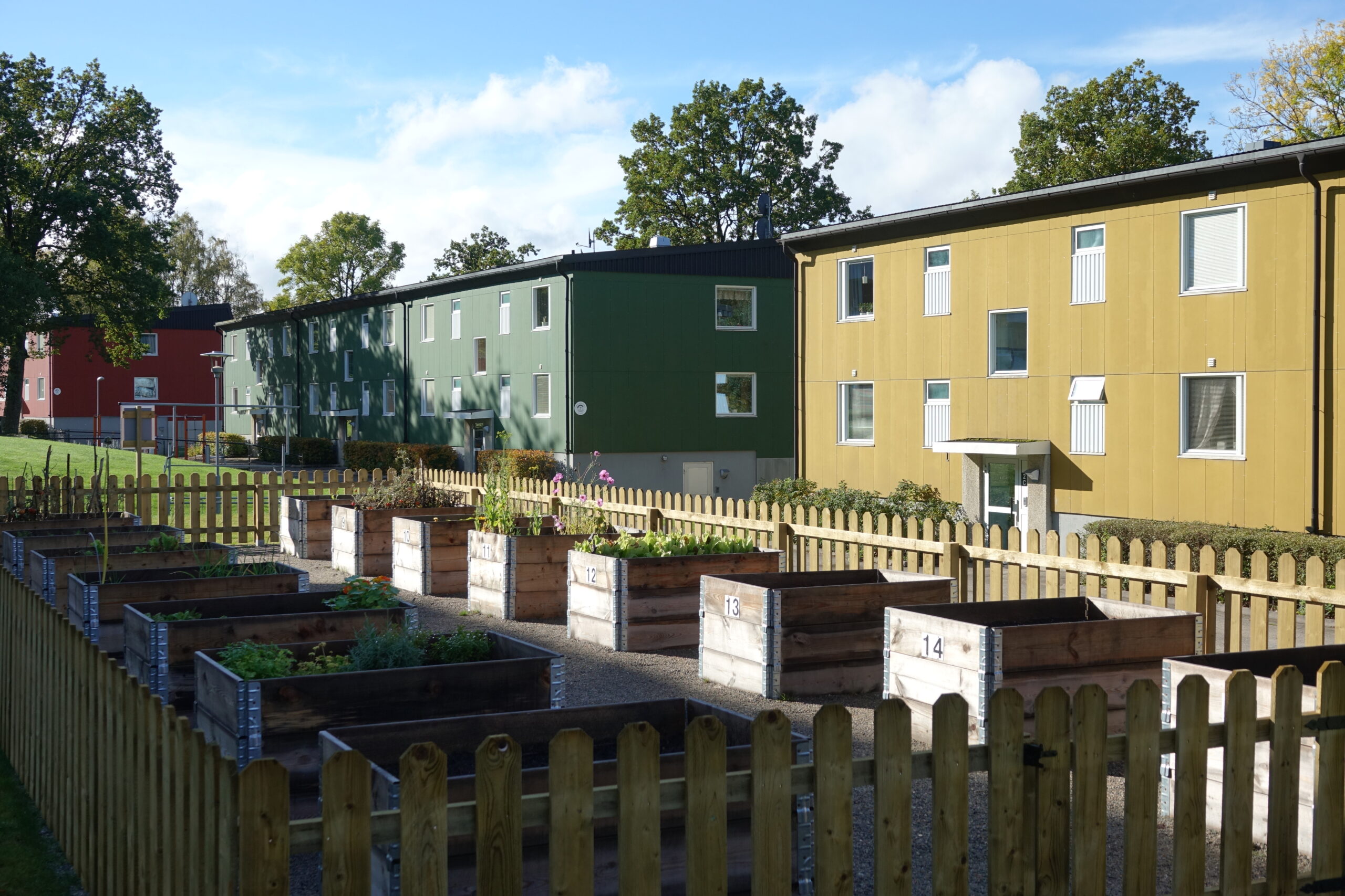 Odlingslotter på Karlslätt